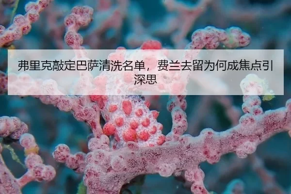 弗里克敲定巴萨清洗名单，费兰去留为何成焦点引深思